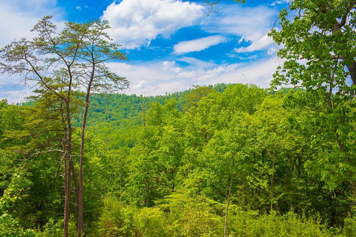 Nature'S Paradise Sevierville Buitenkant foto